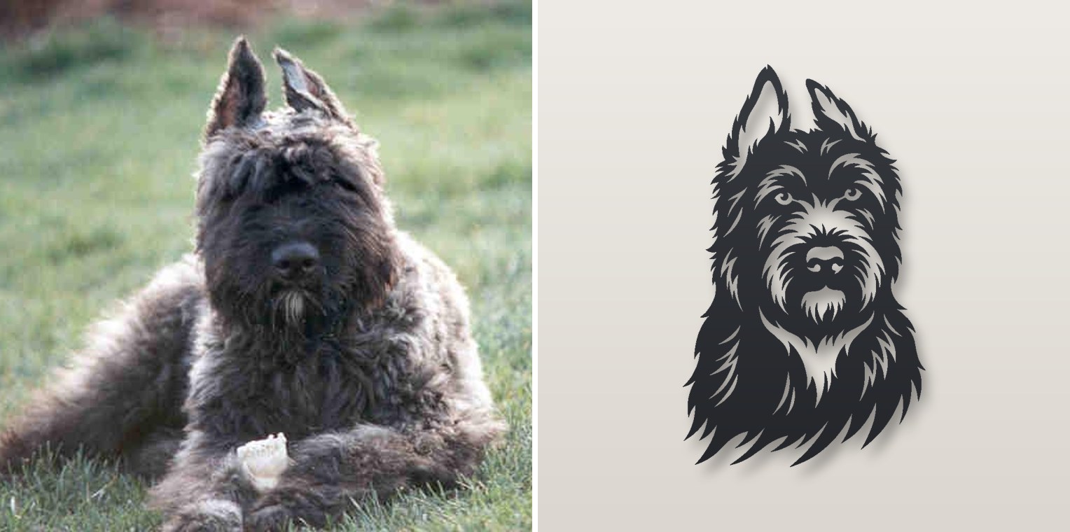 Headshot — photo and finished steel sign