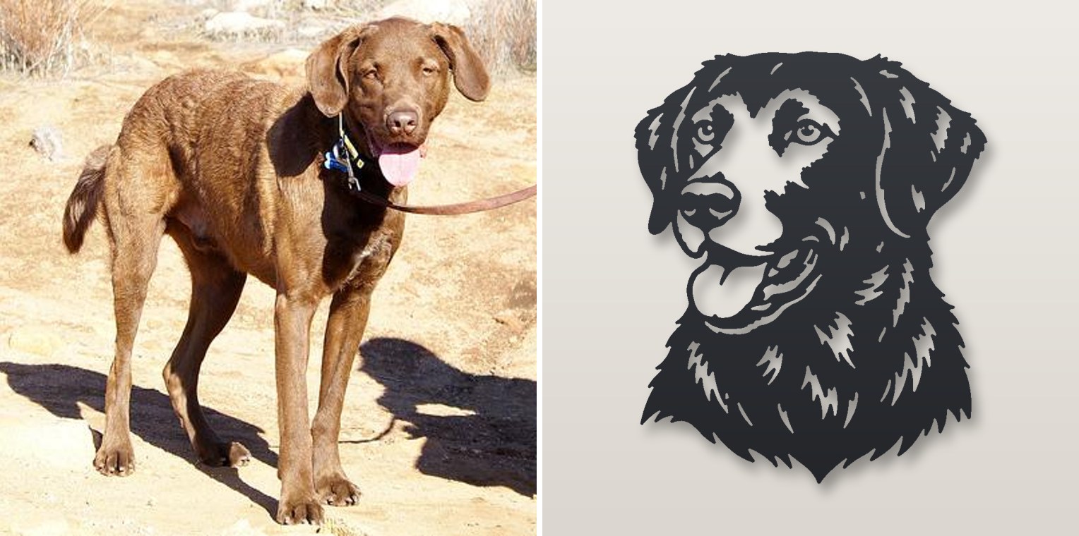 Chesapeake Bay Retriever photo next to its plasma-cut steel sign