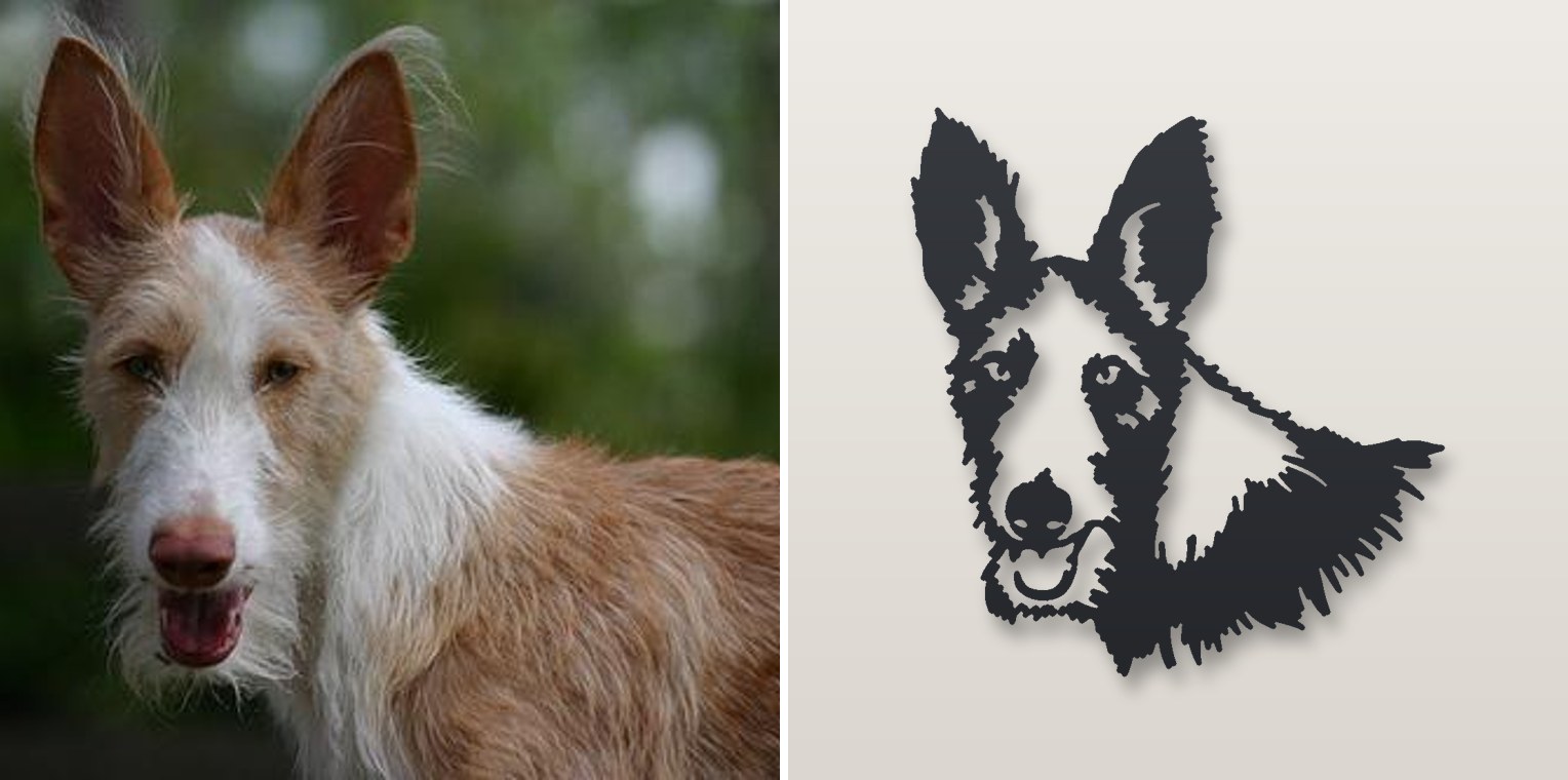 Headshot — photo and finished steel sign