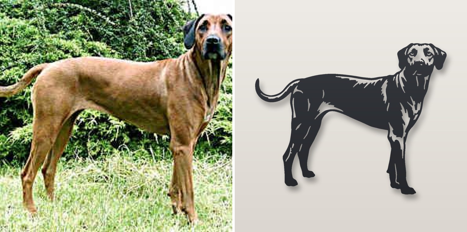 Rhodesian Ridgeback photo next to its plasma-cut steel sign